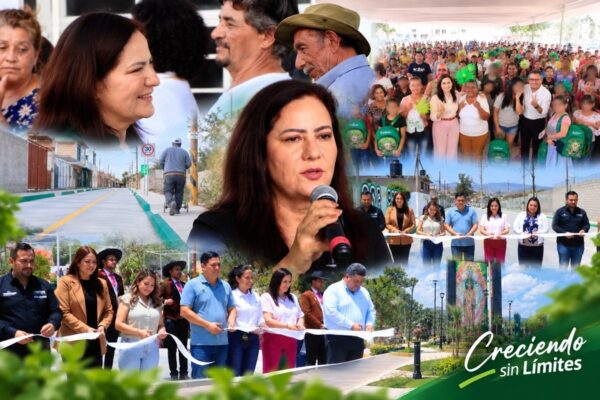 Informe